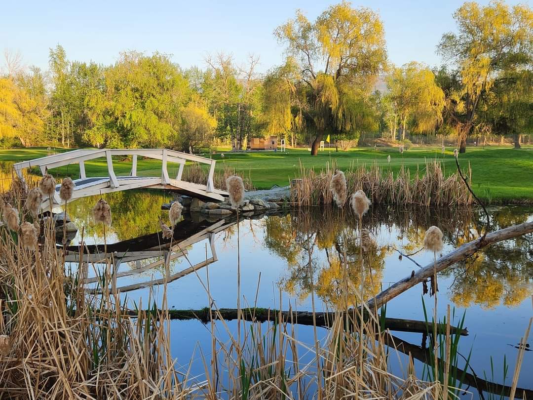 Mission Creek Golf Club