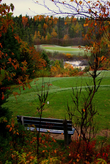 terra nova golf resort port blandford