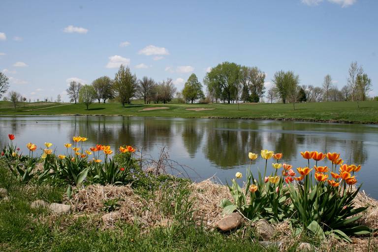 Book Online at South Fork Golf Club Saint James, Golf Course